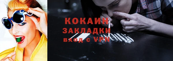 сатива Инсар