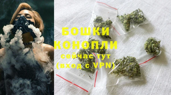 сатива Инсар