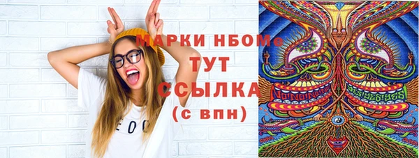 сатива Инсар