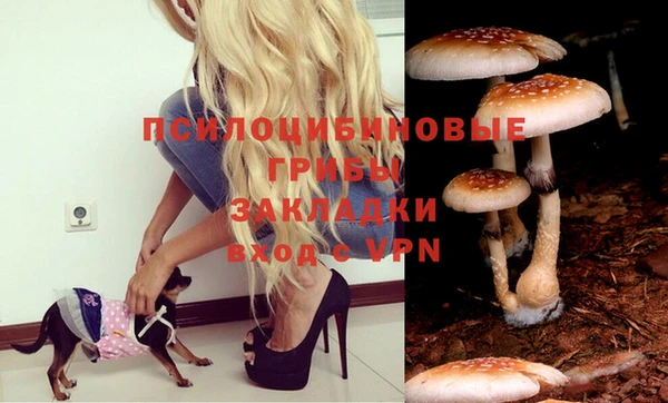 сатива Инсар