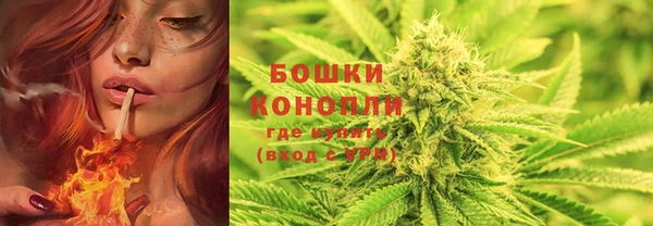 a pvp Инта