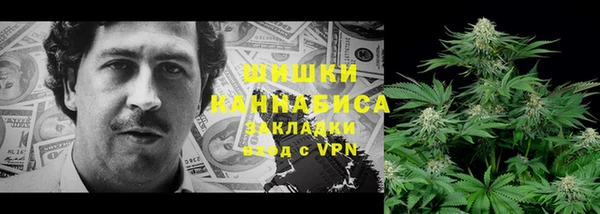 эйфоретик Иннополис