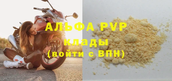 сатива Инсар